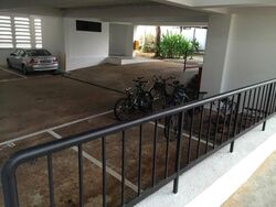 Tanglin Park (D10), Condominium #589351501